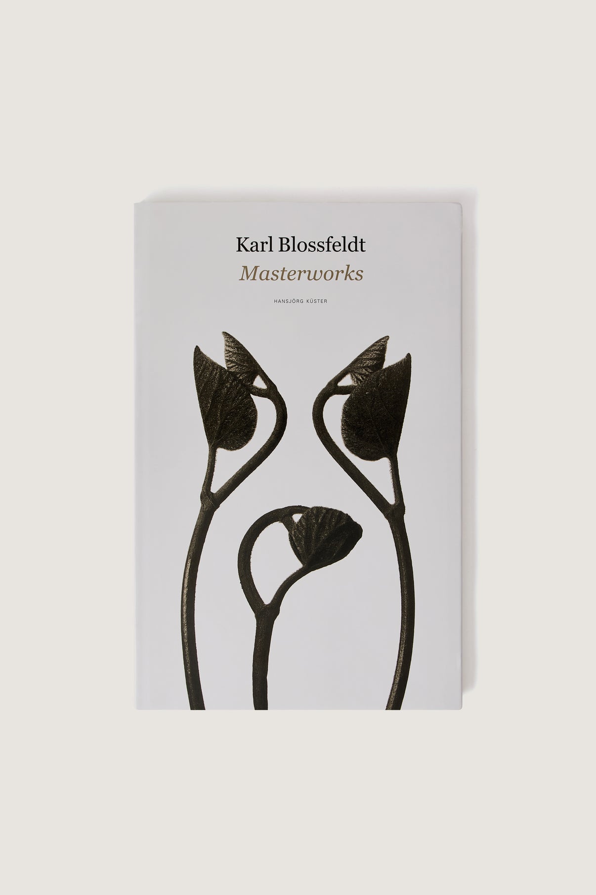 LIVRE "KARL BLOSSFELDT : MASTERWORKS" vue 1